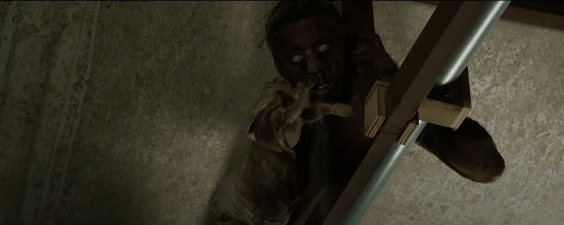 Exhume: Real Life Inspiration Gone Wrong