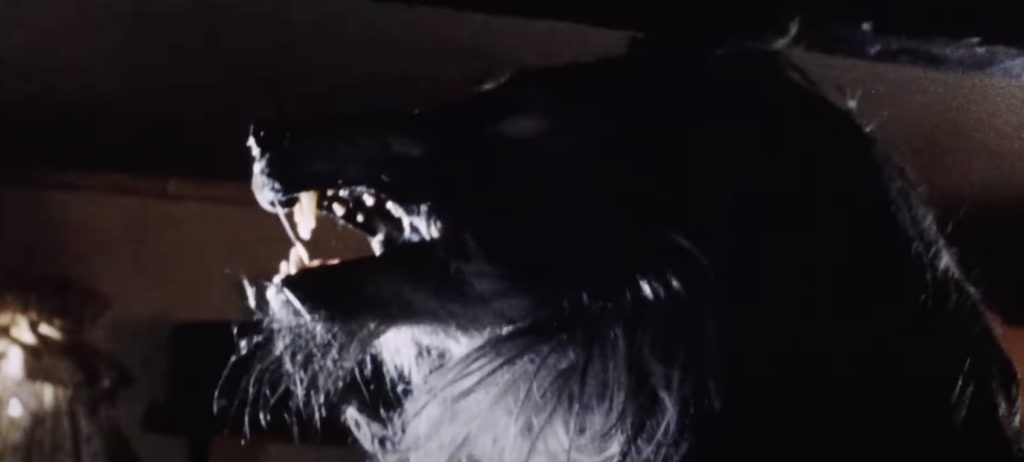 Werewolf from Dog Soldiers