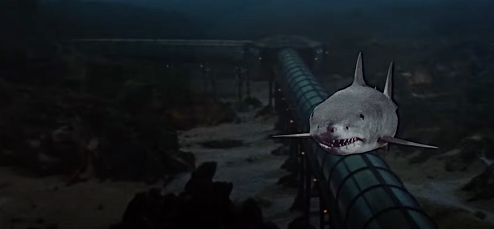 The shark from Jaws's 3d attempt