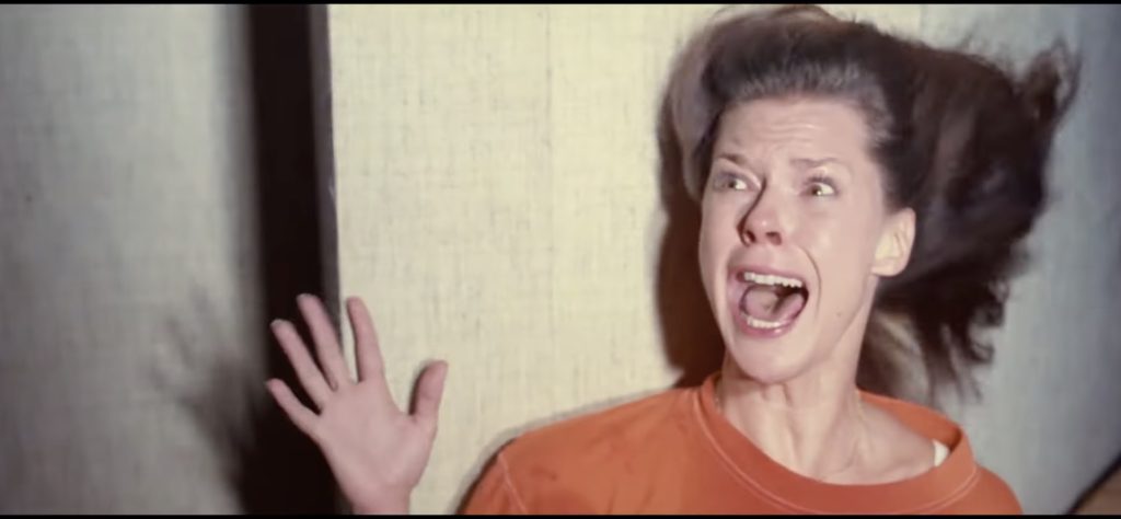 Diane makes Poltergeist a perfect movie