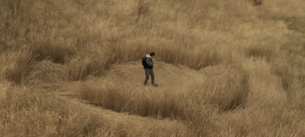 Crop Circles are real in Disclosure day