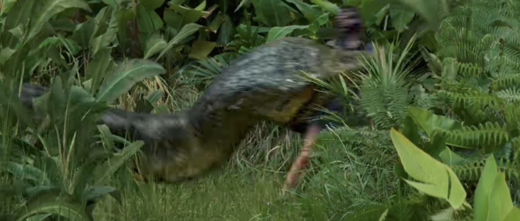 The snake in Anaconda